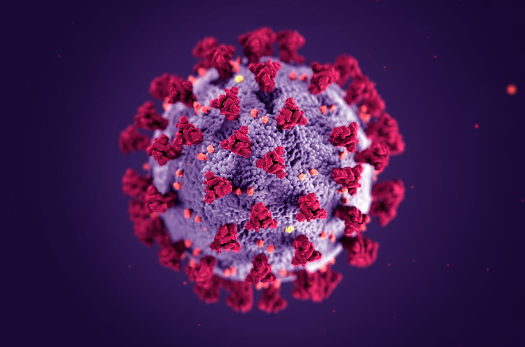 Illustration av ett covid-19-virus