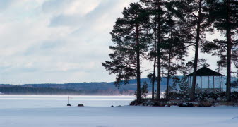 Sjö på vintern. 