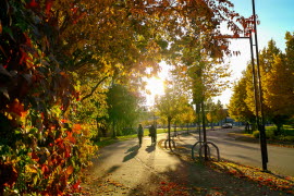 Träd med höstlöv, två personer som går på en cykelväg.
