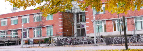 Löv på marken, träd med gula löv och Campus Borlänge i bakgrunden.