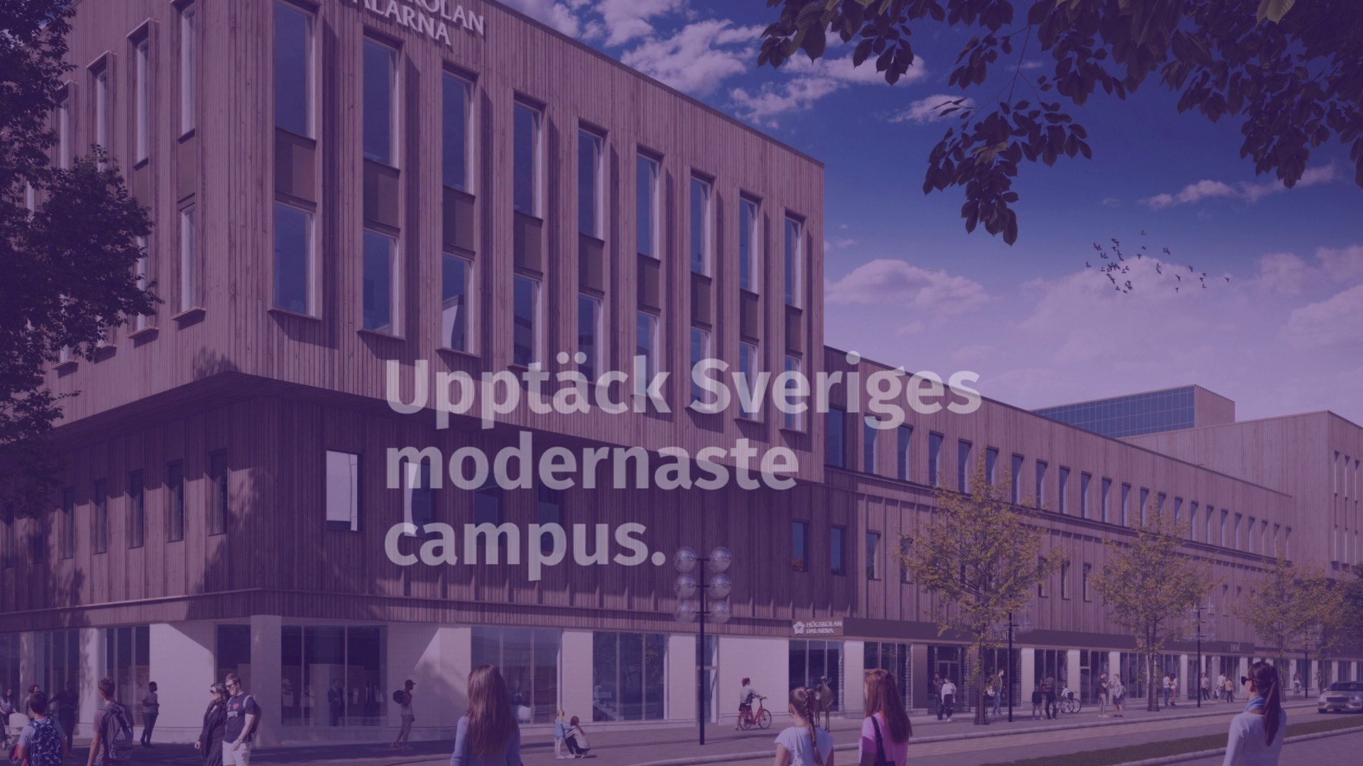 Upptäck Sveriges modernast campus. En plats att lyckas på. Utbildningar inom: Ekonomi, Data & IT, Teknik, Samhälle, Turism