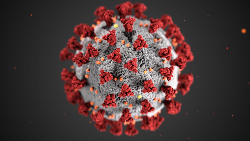 Illustration av ett Covid-19 virus.