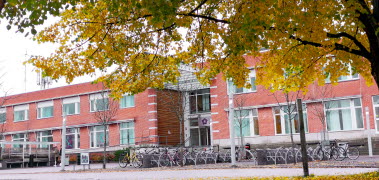 Löv på marken, träd med gula löv och Campus Borlänge i bakgrunden.